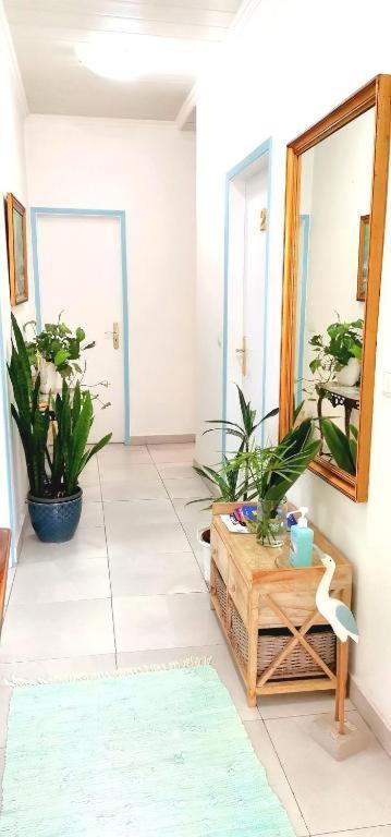 Home & Flower - Private Bedrooms Funchal エクステリア 写真
